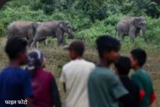 हाथी ने दो भाई, बेटी और पड़ोसी को मार डाला,मचा है कोहराम