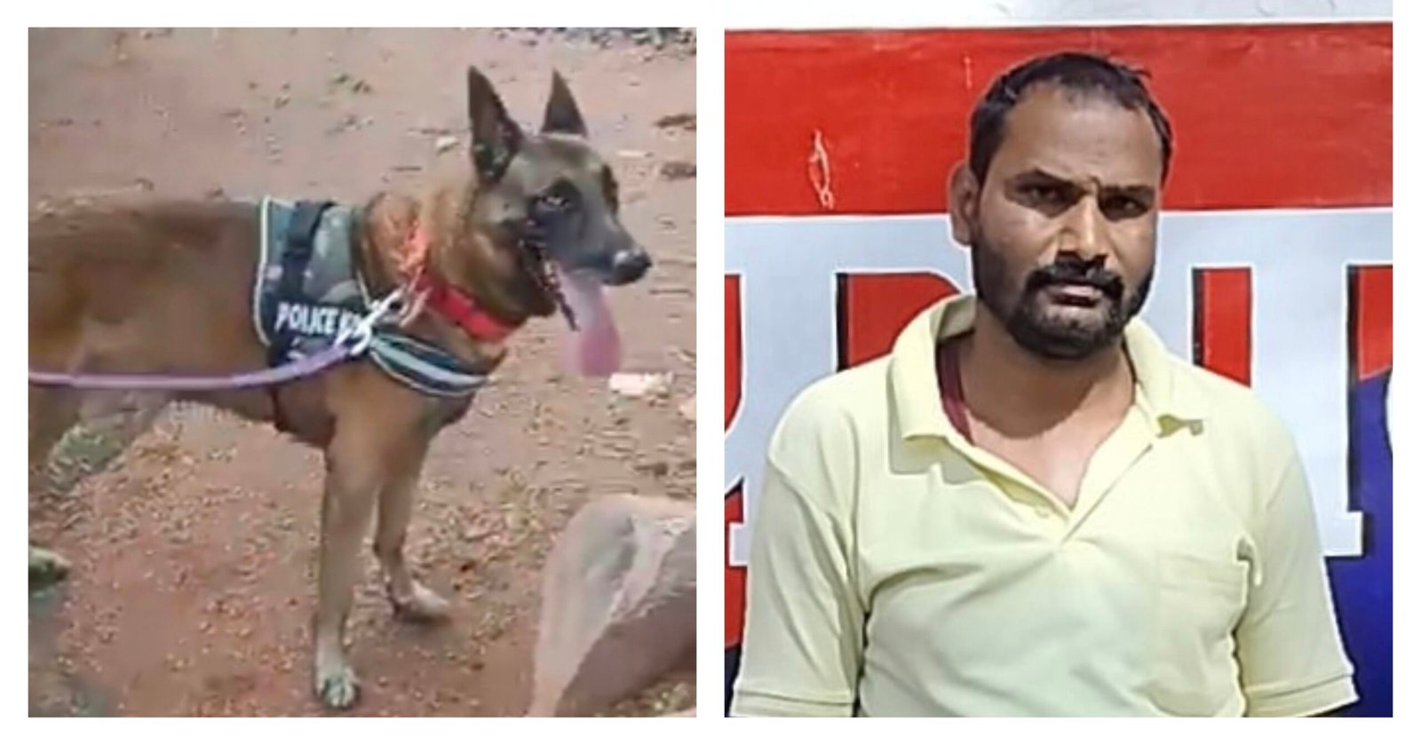 Video: DOG बाघा ने कुछ इस तरह पहुँचाया हत्यारे तक,जेल भेजा गया रिश्तेदार